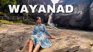 Wayanad  Wayanad Places to visit  Part2  Wayanad Itinerary  Wayanad Tourist Places  WanderBees [upl. by Cutcliffe]