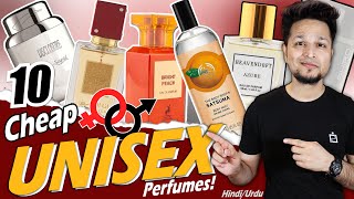 Top 10 UNISEX Perfumes InBudget for Daily Use  Compliment Getters  Great for All Genders [upl. by Yram]