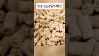 Le processus de fabrication des bouchons de vin‼️🤯🤯 bouchon wine plug découverte pourtoi fyp [upl. by Nossaj]