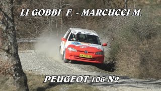 RALLY VALLE DEL TEVERE 2023  LI GOBBBI F  MARCUCCI M  PEUGEOT 106 N2  VIDEOCLIP [upl. by Anauqaj738]