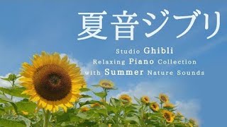 夏音ジブリ・ピアノメドレー【作業用BGM】【途中広告なし】Studio Ghibli Summer Day Piano Collection Piano Covered by kno [upl. by Ruberta]