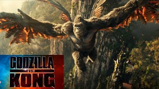 Godzilla x Kong  The New Empire  Full Story Recap amp Insights [upl. by Asilrak543]