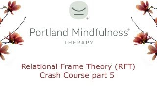 Relational Frame Theory RFT Crash Course pt 5 [upl. by Heater]