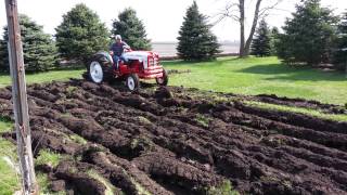 Ford Powermaster 861 plowing sod [upl. by Aniuqaoj]