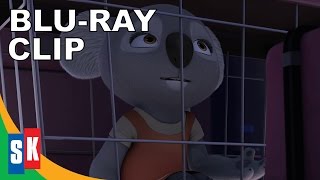 Blinky Bill The Movie  Clip 2 First Time [upl. by Kecaj]