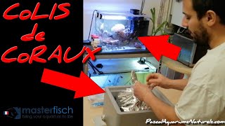 unboxing coraux mystères  nano récifal Masterfish  Pascal Aquariums Naturels [upl. by Flannery309]