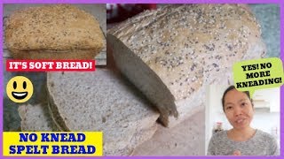 No Knead Spelt Flour Bread Recipe [upl. by Demmer]