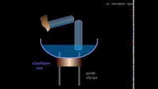 Electrolysis of Aq Acid  Animated Expt amp Explanation in BENGALI [upl. by Inafets]