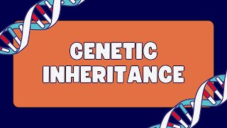 Polygenic inheritance [upl. by Brighton]