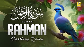 Beautiful Quran Recitation in the World 2024  Surah ArRahman سورة الرحمن  Zikrullah TV [upl. by Idnis]