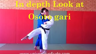 In depth osoto gari in depth by Judo Olympian [upl. by Zsa]