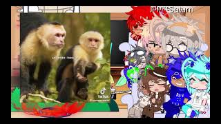 •Solarballs react to earth againpart4CtHirakiGreen for the last videopart 5 EnglishSpanish• [upl. by Romeon]