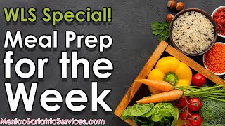 Bariatric Sleeve Meal Prep Ideas  Easy Tips to Prepare Meal for the Week [upl. by Eitra]