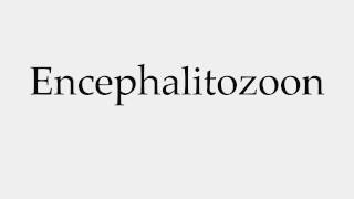 How to Pronounce Encephalitozoon [upl. by Hurwitz]