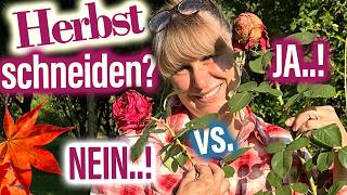 ROSEN schneiden ✂️ im HERBST John Scarman Deadheading STOP [upl. by Ansley]