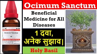 Ocimum sanctum homeopathic medicine  ocimum sanctum benefits  ocimum sanctum dosage [upl. by Aneloj]