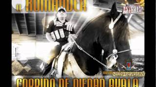 El Komander  Piedad Ayala Audio Oficial [upl. by Jaeger385]