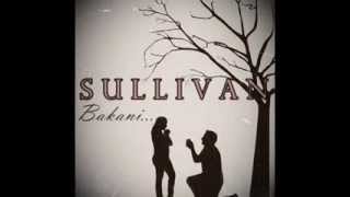 Sullivan  Bakani Lyric Video [upl. by Ethbin]