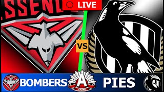 ESSENDON vs COLLINGWOOD  2024 AFL Round 7 Live Stream [upl. by Jephthah]