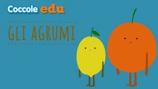 🍊Gli agrumi 🍋 Tutto ciò che cè da sapere  Coccole Edu [upl. by Ahsema114]