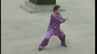 Chen style Tai Chi 19 form tutorial Chen Xiaowang [upl. by Glennon]