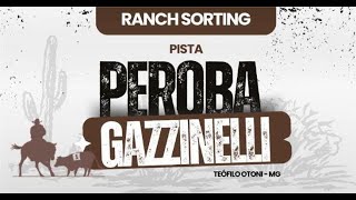 PISTA PEROBA GAZZINELLI  RANCH SORTING AO VIVO  GRANDE FINAL  AO VIVO [upl. by Nagyam]