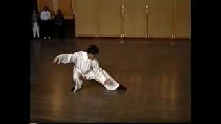 Master Kai Ying Tung performing Tai Chi Chuan traditionel ya [upl. by Adamsen]