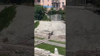 plovdiv bulgaria bg travel travelbg [upl. by Drannel]