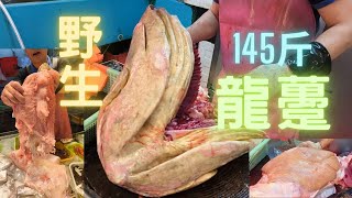 145斤極肥野生龍躉😱怪獸級巨肥肝肉質鬆化，油脂超香🤤Monster Giant Grouper cutting skills fishcutting海鮮社長遊街市Seafood [upl. by Nageam]