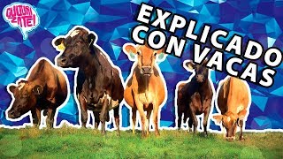 SISTEMAS ECONÓMICOS EXPLICADOS CON VACAS  CULTURIZATE [upl. by Edda932]