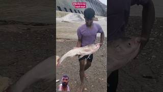 fishing fish fisherman love fishinglife fishingvillageboy catfish fishingtips [upl. by Louise914]