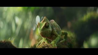 Berocca Chameleon dancing to Panjabi MC  Be More Berocca Ad  Berocca [upl. by Nosiddam]