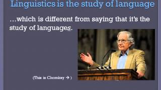 Introduction to Linguistics [upl. by Bithia]