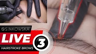 Hairstroke Brows intense online LIVE course [upl. by Ailemaj]