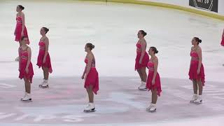 MICHIGAN STATE SYNCHRONIZED SKATING 2019  Nationals in Plymouth MI [upl. by Aracot478]