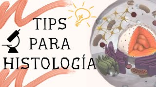 Tips Histología ¿Cómo estudiar  6 poderosos Tips para triunfar en la histología [upl. by Mrots]