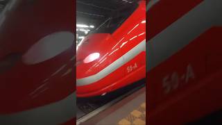 Frecciarossa in arrivo a rho fiera Milano [upl. by Aleel765]