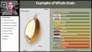 56 Carbohydrates Whole vs Refined [upl. by Nina348]