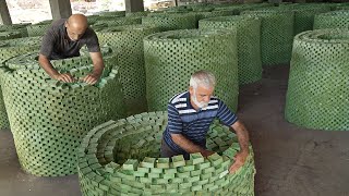 Amazing Way They Stack Millions of Olive Soap Bars by Hand [upl. by Miza]