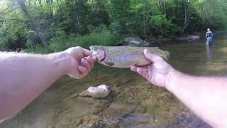 West Virginia rail stocking trout fishing [upl. by Harim]