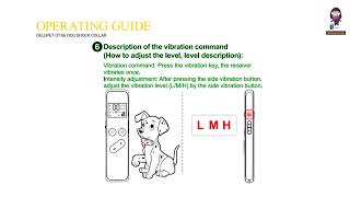 DeluPet DT66 Dog Shock Collar User Manual  Safety Instructions [upl. by Atteuqahc]