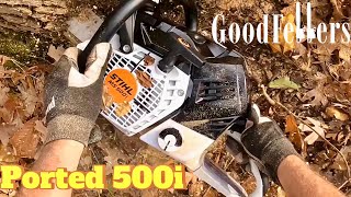 Stihl 500i Ported First Cuts [upl. by Oicul]