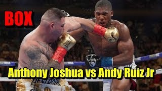 Anthony Joshua vs Andy Ruiz Jr  Relato Español [upl. by Annekahs]