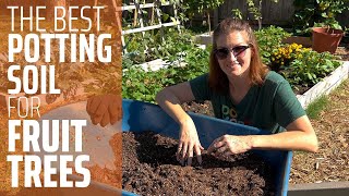 Make Your Own Amazing Fruit Tree Potting Mix [upl. by Le531]