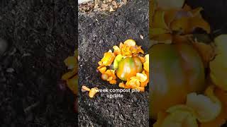 3 week compost pile update compostpile garden homecomposting subscribe [upl. by Alios]