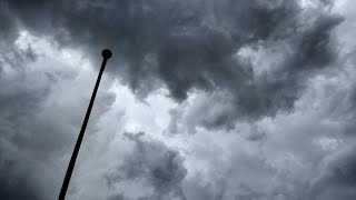 A violent storm blew over my bangalow palm [upl. by Johnna]