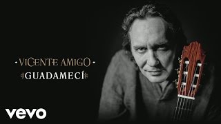 Vicente Amigo  Guadamecí Audio [upl. by Lurline]