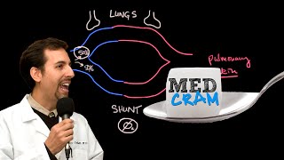 Shunting Explained Clearly Pulmonary Shunt [upl. by Geirk]