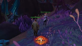 Alleria Anduin Dialogue About Void  WoW TWW [upl. by Teiv]