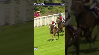 Kyprios completes the Ascot Gold CupGoodwood Cup double 🏆 [upl. by Haliak]